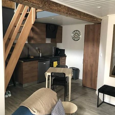 Maison Loft サン・ディジエ エクステリア 写真