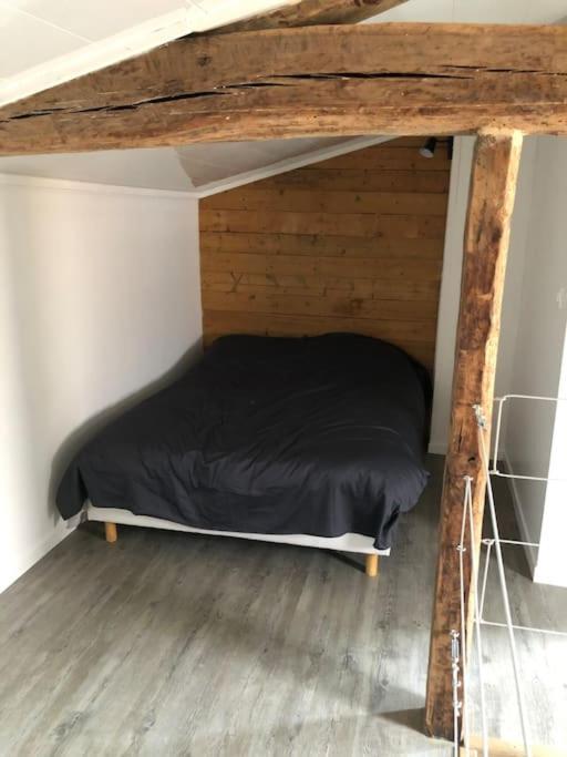 Maison Loft サン・ディジエ エクステリア 写真